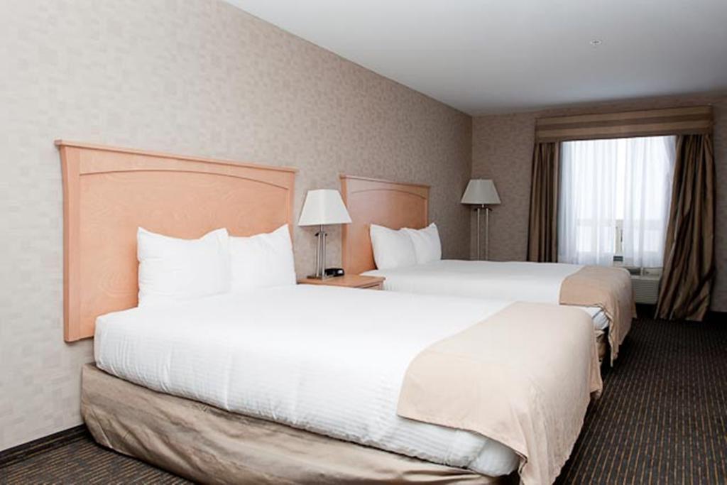 Paradise Inn And Suites Valleyview Habitación foto